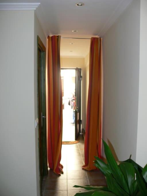 Apartment Loft En Planta Baja En *